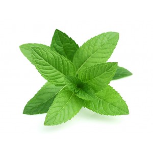 Menthol