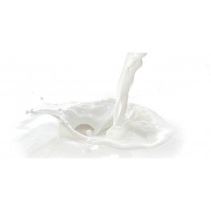 Pure Milk (Milch) 