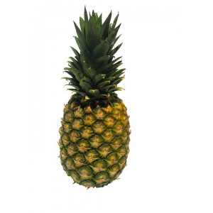 Pure Pineapple (Ananas)